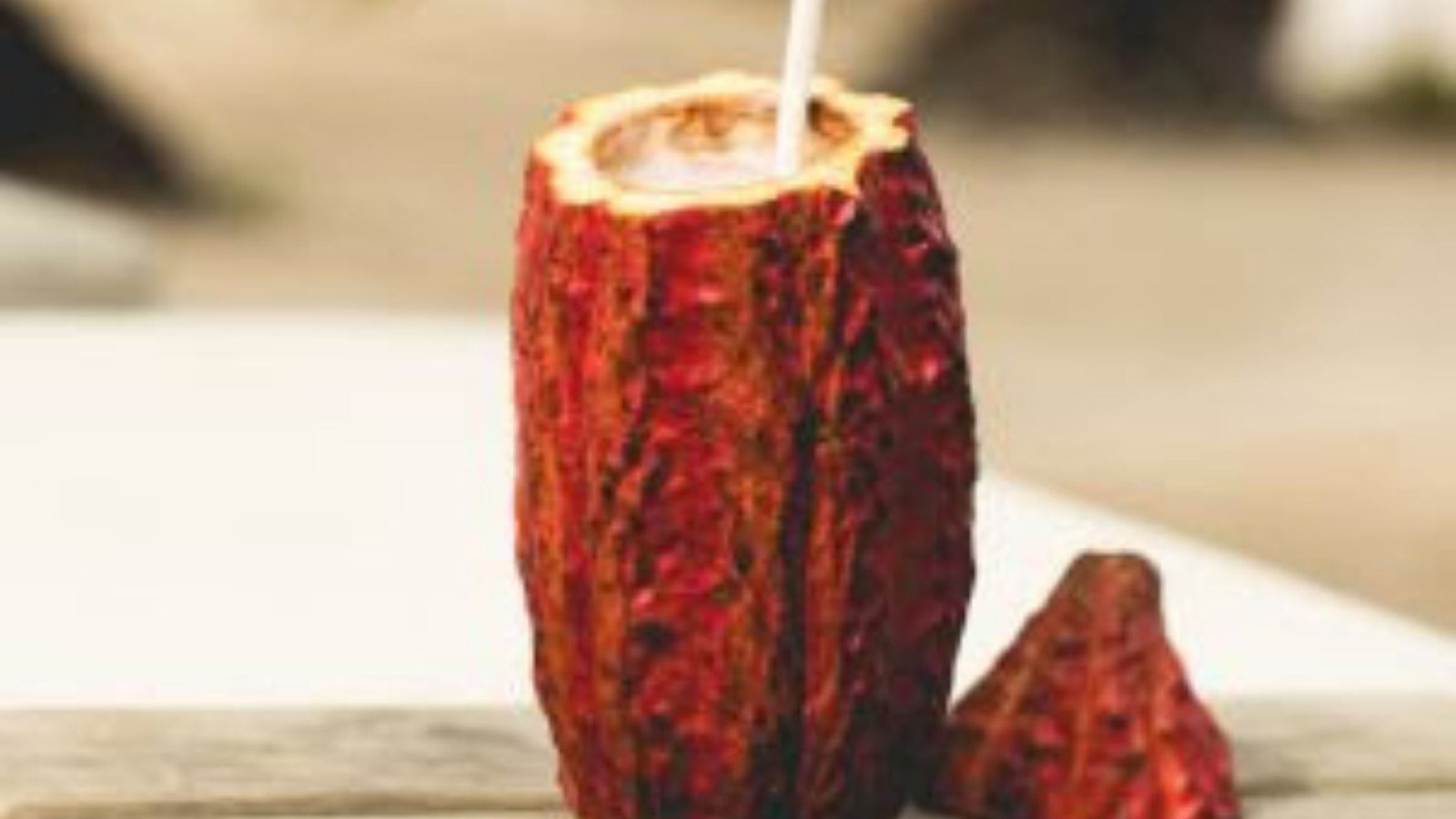“Costa do Cacau” é uma deliciosa sugestão para os apreciadores da gastronomia baiana