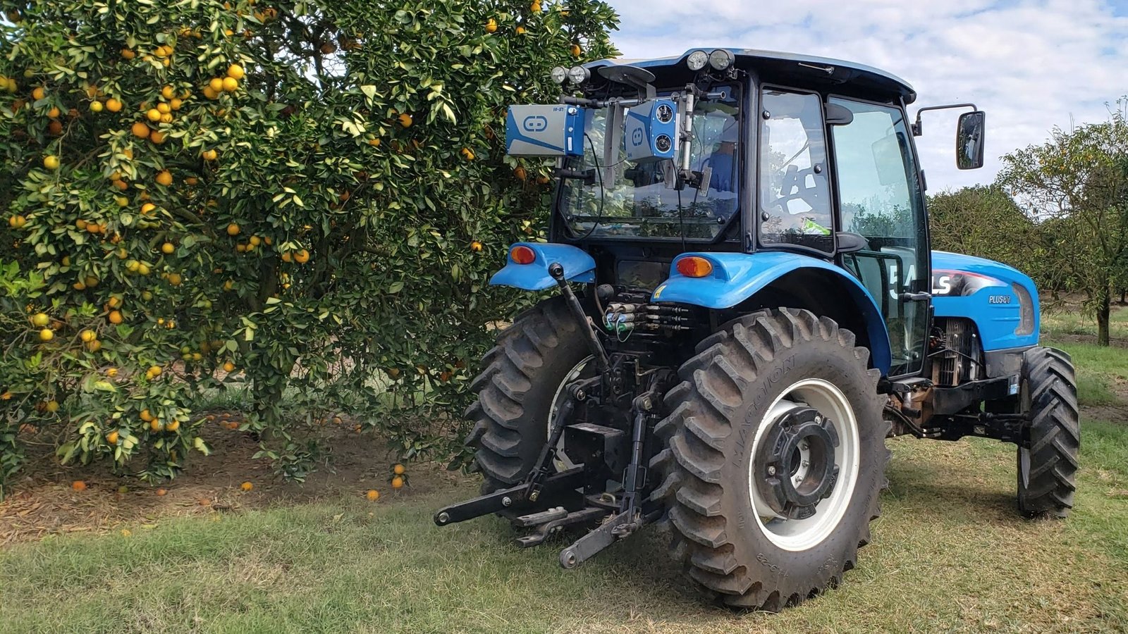 Fazenda de cítricos é a primeira no mundo 100% monitorada por sensores inteligentes