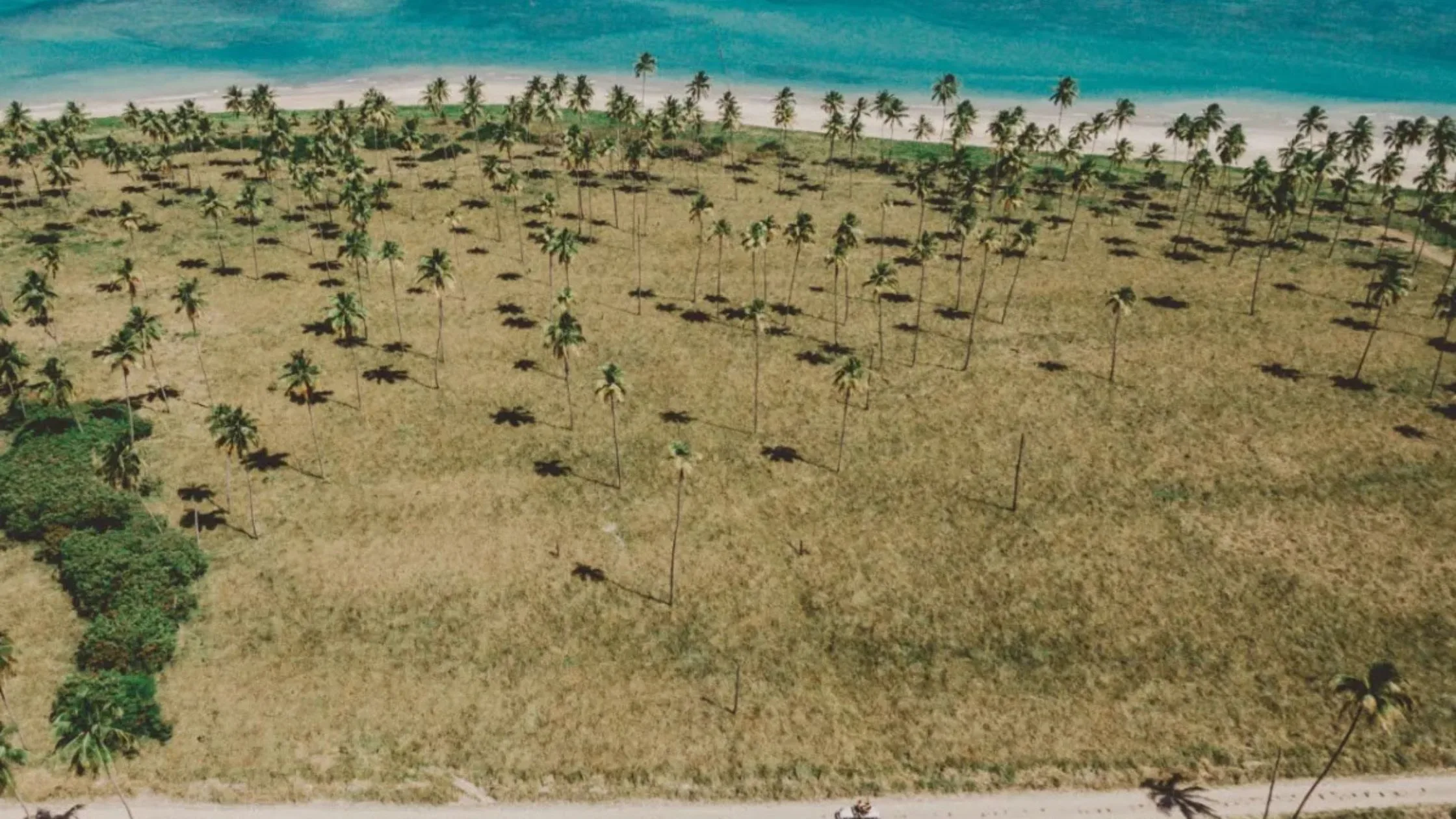 Miniguia exclusivo de Verão em São Miguel dos Milagres, Alagoas