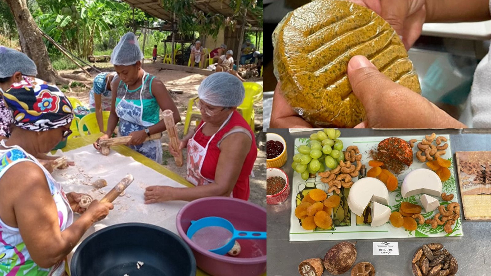 Pesquisadores usam coco babaçu para criar alimento similar a hambúrguer
