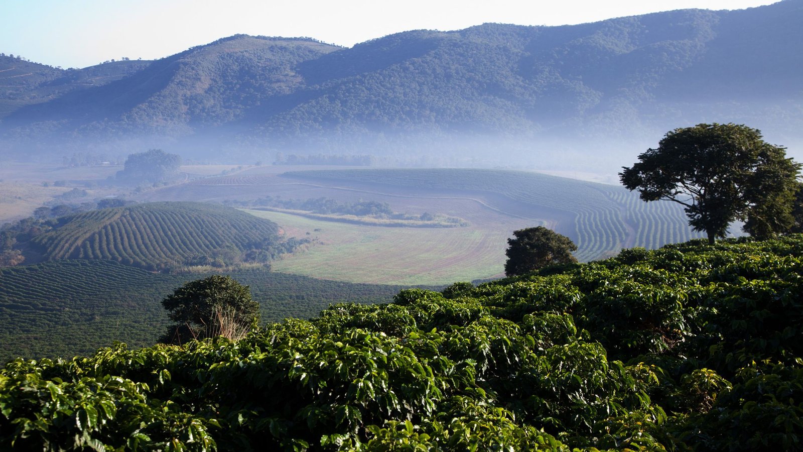 Foto: Região Mantiqueira de Minas/Divulgação

