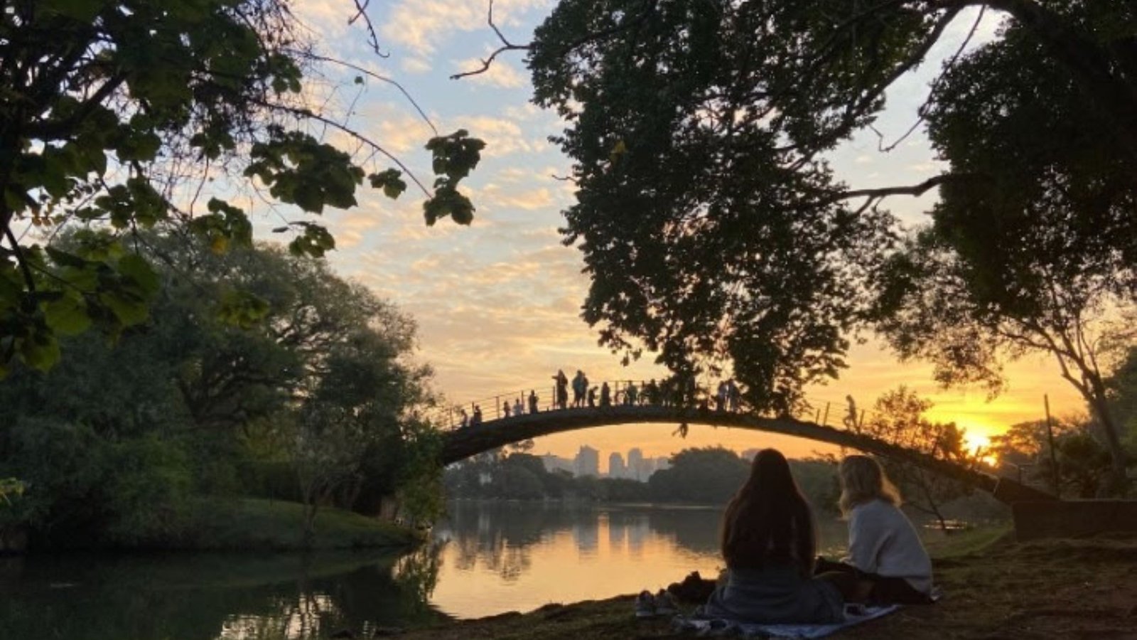 Parque Ibirapuera se transforma para receber a folia