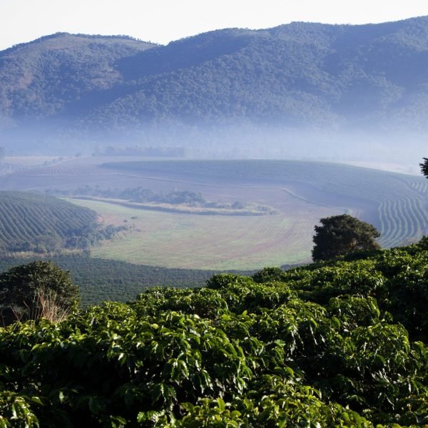 Foto: Região Mantiqueira de Minas/Divulgação

