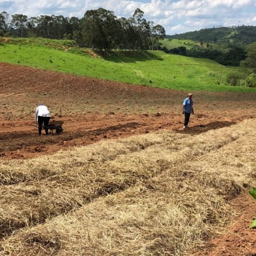 Grupo gastronômico de Campinas implanta projeto para o desenvolvimento de sistemas agroflorestais