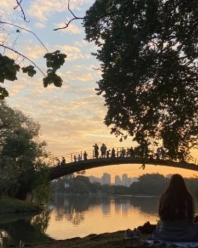 Parque Ibirapuera se transforma para receber a folia