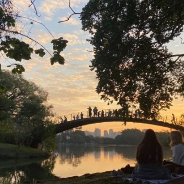 Parque Ibirapuera se transforma para receber a folia